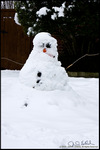 DigitalScape Photography